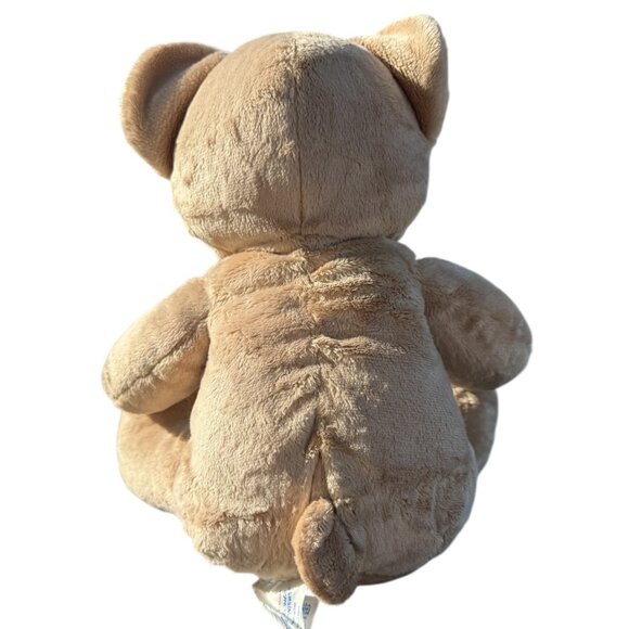 Build A Bear Sitting Plush Stuffed Velvet Hugs Teddy Support Pillow Pet Toy - Picture 3 of 12